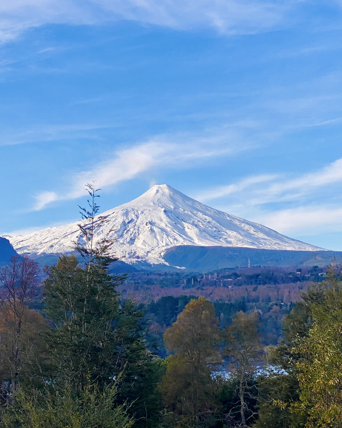 El volcán Villarrica nevado sobre el bosque